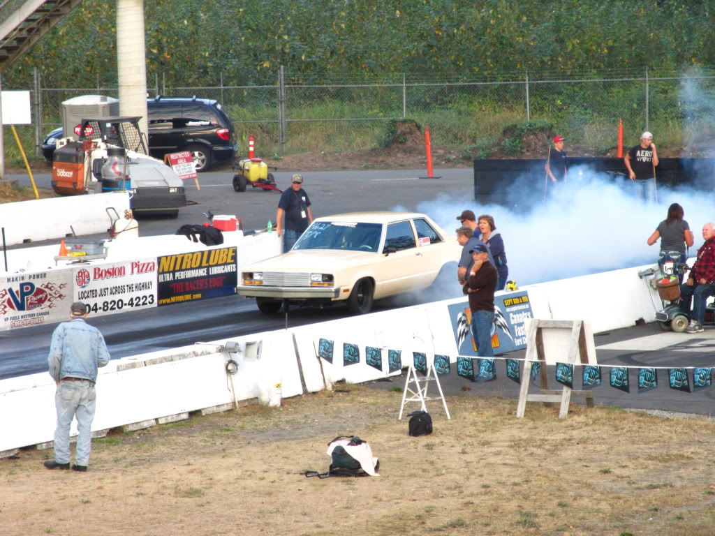 Ford Fairmont burnout